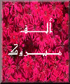 بطاقات تهاني الزواج والخطوبة3
