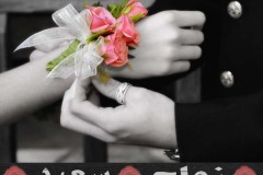 بطاقات تهاني الزواج والخطوبة2