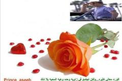 بطاقات الصداقة والتعارف1
