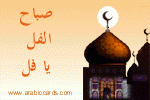 بطاقات الصداقة والتعارف2