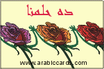 بطاقات الصداقة والتعارف3