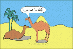 بطاقات الصداقة والتعارف10