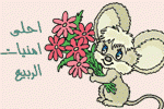 بطاقات الصداقة والتعارف5