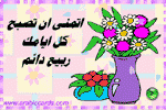 بطاقات الصداقة والتعارف12