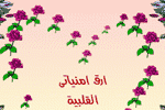 بطاقات الصداقة والتعارف14