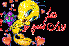 بطاقات الصداقة والتعارف3