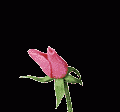 بطاقات الصداقة والتعارف4