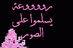 بطاقات الصداقة والتعارف12