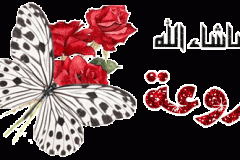 بطاقات الصداقة والتعارف2