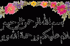 بطاقات الصداقة والتعارف3