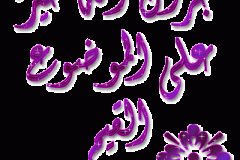 بطاقات الصداقة والتعارف4