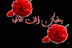 بطاقات الصداقة والتعارف1