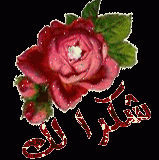 بطاقات الصداقة والتعارف5