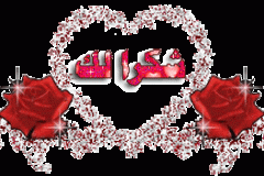 بطاقات الصداقة والتعارف1