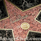محبةمجالسنا4