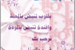 ترحيب3