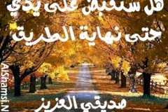 بطاقات الصداقة والتعارف3