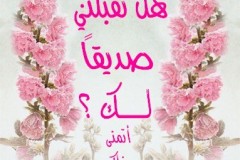 بطاقات الصداقة والتعارف8