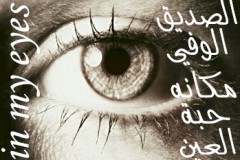 بطاقات الصداقة والتعارف9