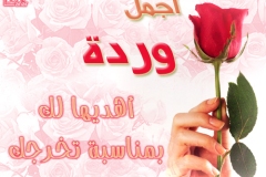 تهنئة1