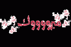 بطاقات النجاح والتخرج10