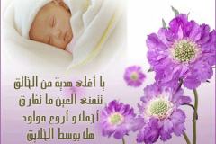 تهنئة إلى العمانية الغالية1