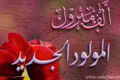 بطاقات المولود الجديد9
