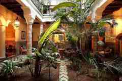 منازل وفلل من الداخل5