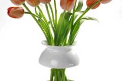 صالات المعيشة والطعام4