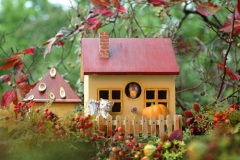 صالات المعيشة والطعام7