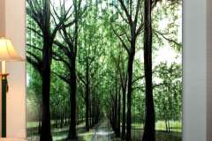 تصاميم الستائر والسجادات3