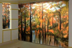 تصاميم الستائر والسجادات15