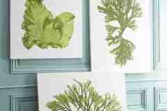 الرسم على الجدران والأسقف1