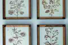 الرسم على الجدران والأسقف13