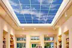 الرسم على الجدران والأسقف9