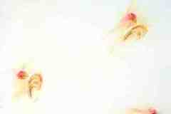 الرسم على الجدران والأسقف12