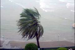 إعصار جونو5