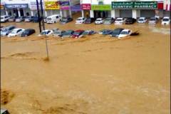 إعصار جونو6