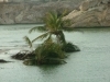 إعصار جونو12