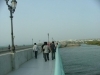 إعصار جونو14