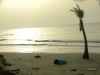 إعصار جونو6