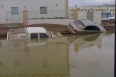 إعصار جونو