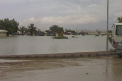 إعصار جونو