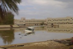إعصار جونو