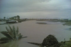 إعصار جونو