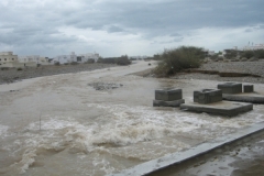 إعصار جونو