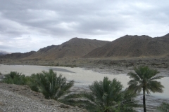 إعصار جونو