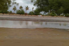 إعصار جونو