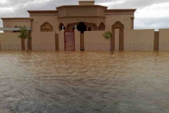 إعصار جونو