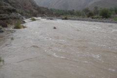 إعصار جونو